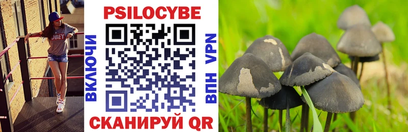 Псилоцибиновые грибы Psilocybine cubensis Райчихинск